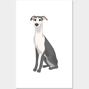 Black & White Whippet Dog Posters and Art